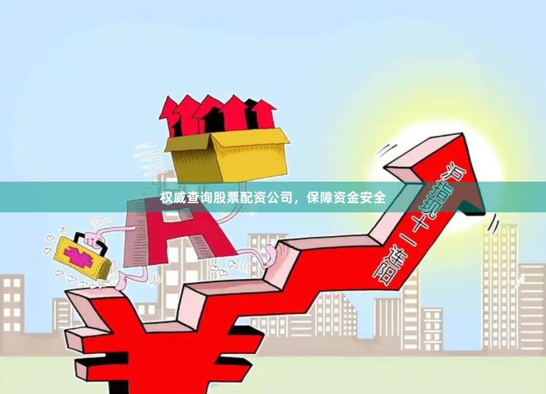 权威查询股票配资公司，保障资金安全