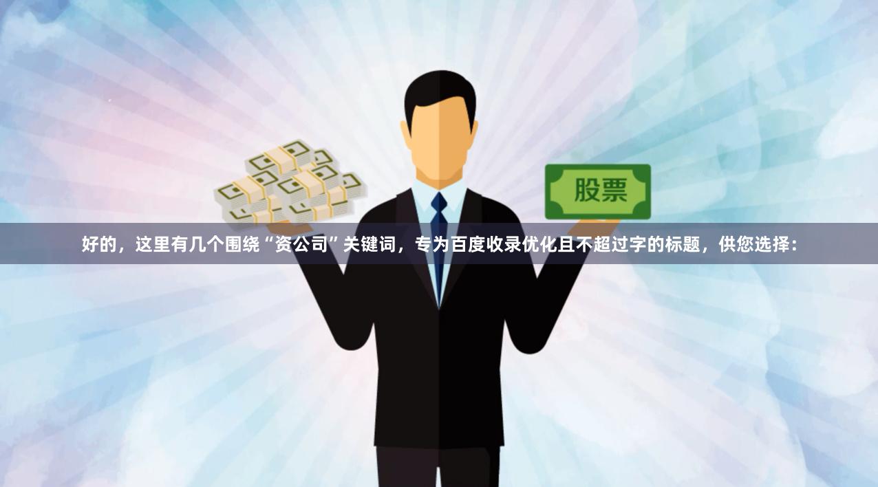 好的，这里有几个围绕“资公司”关键词，专为百度收录优化且不超过字的标题，供您选择：