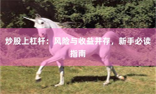 炒股上杠杆：风险与收益并存，新手必读指南