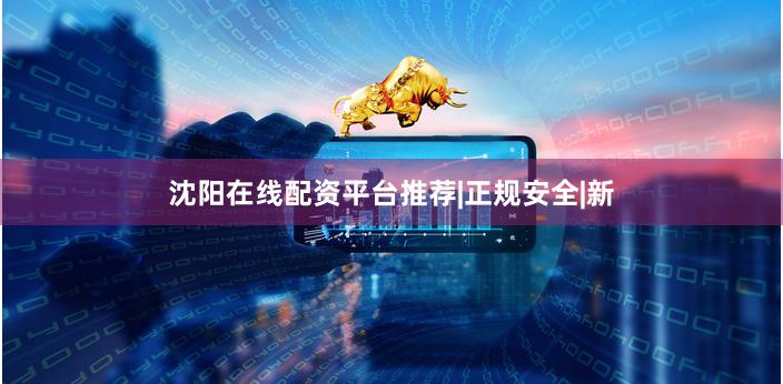 沈阳在线配资平台推荐|正规安全|新